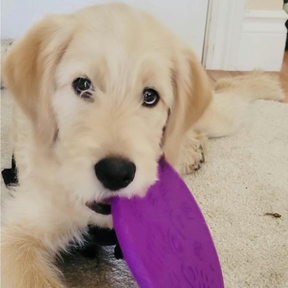 Meet your Posher, Tracy - Picture 1 of 1